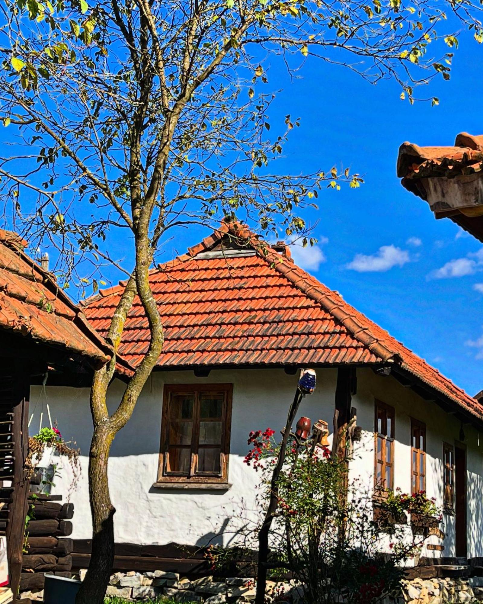 Садиба Гардига Pystan Exterior photo